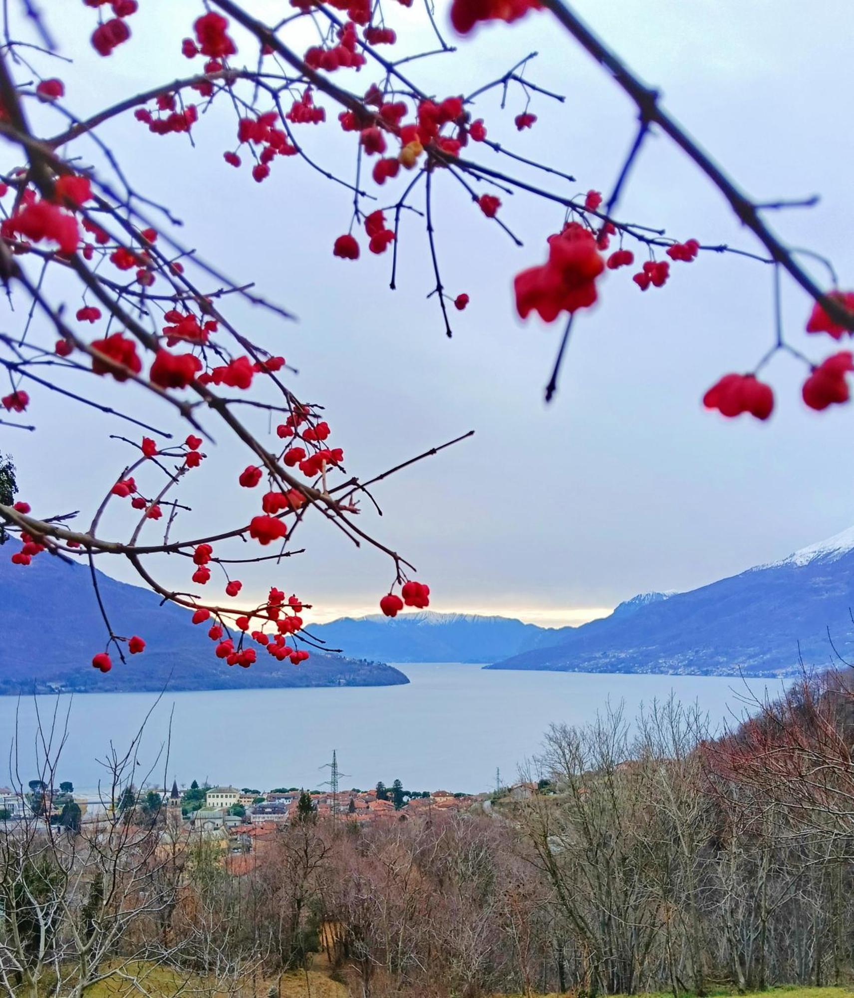 Lake Como Borgo Vignola Cremia Kültér fotó